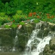 3D Garden Waterfalls screenshot